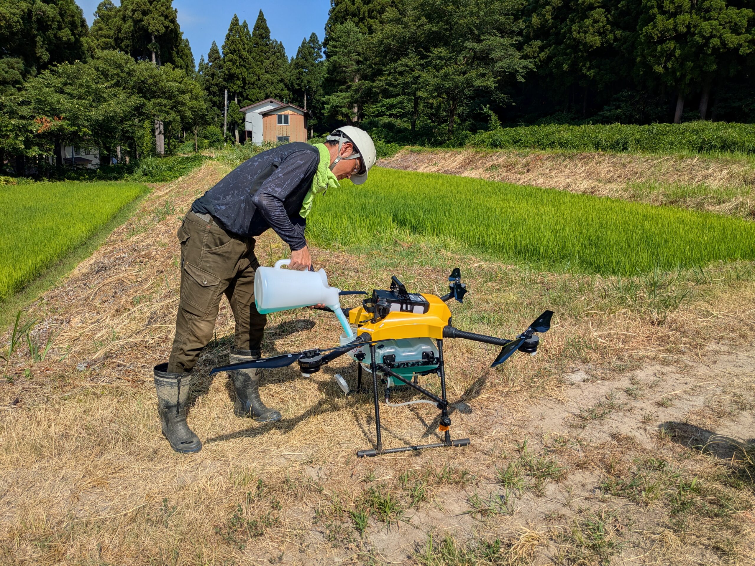 【たんぼチーム】7月26 日・8月2 日 ドローン穂肥散布実演会