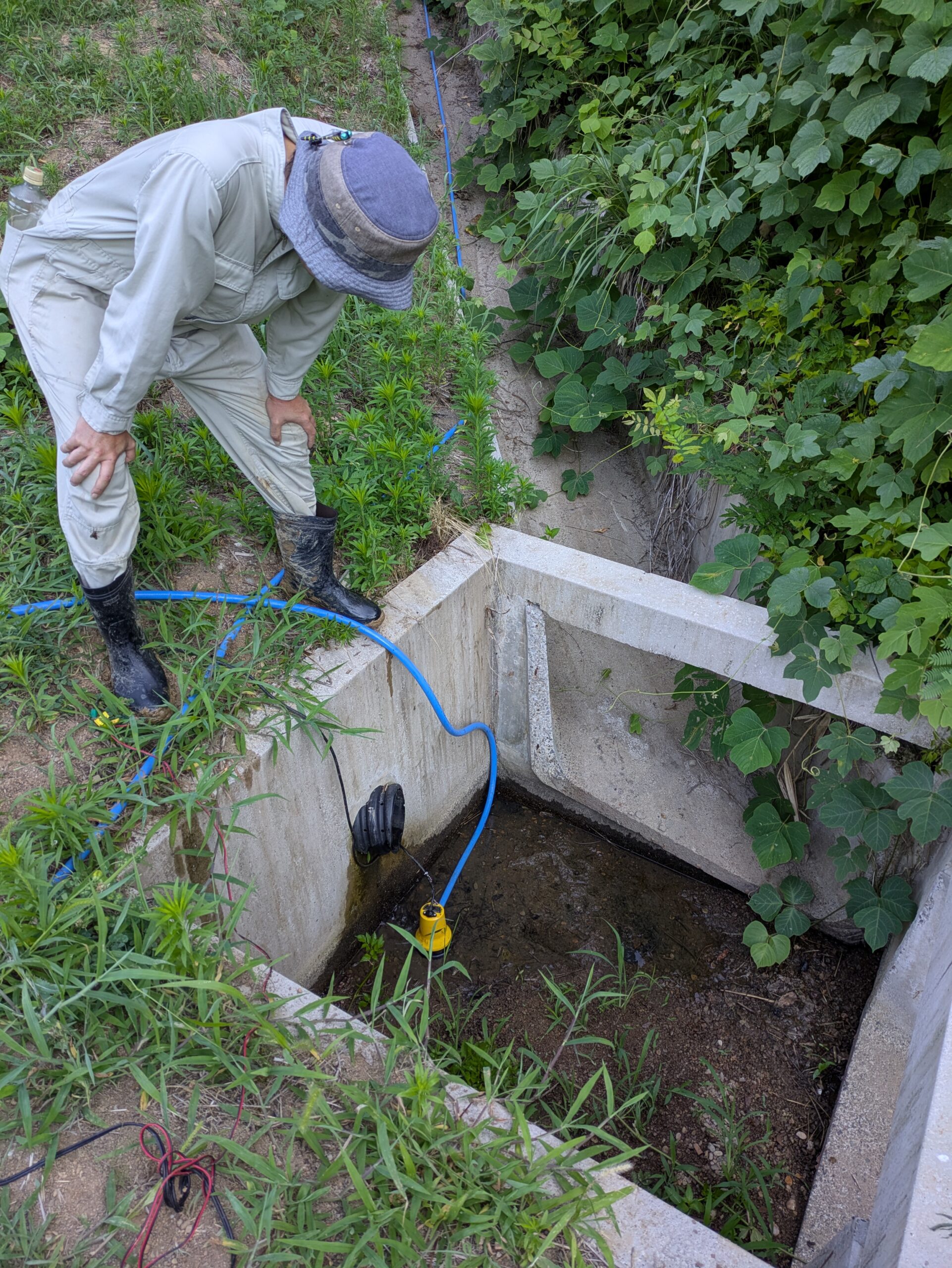 【ぴりっ子PJ】高温・渇水